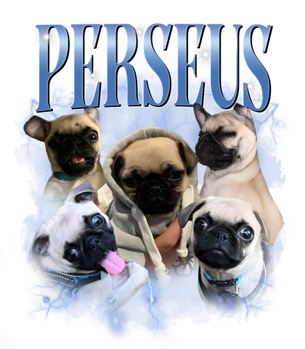 pêus.png