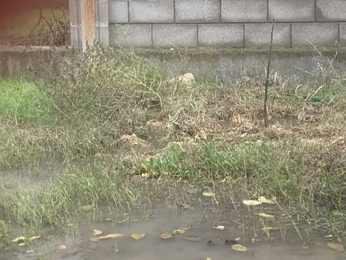 IMG 2366.jpg