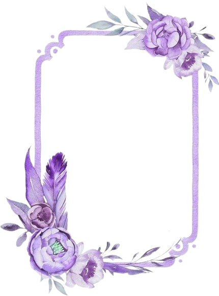 f06bf08ee19219132d8b42af47a68544 removebg preview.png