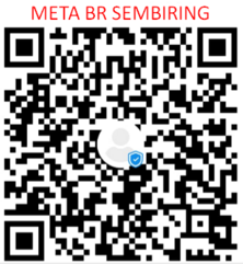 META BR SEMBIRING.png
