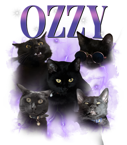 ozzy.png