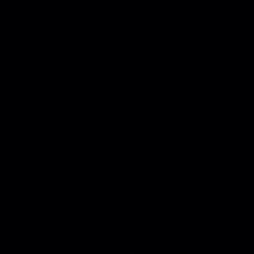 IMG 1387.gif