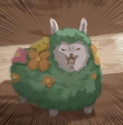 image.jpg