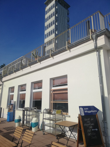 IMG 20231025 134635.jpg