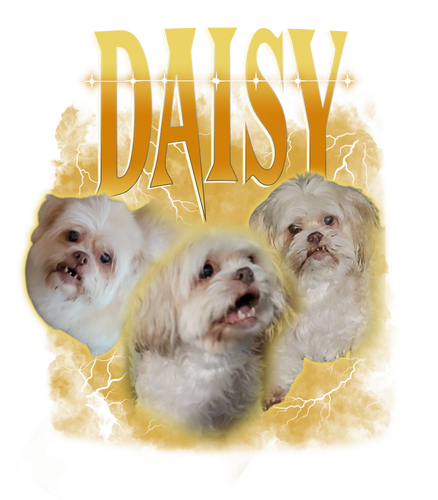 Daisy + 3.png