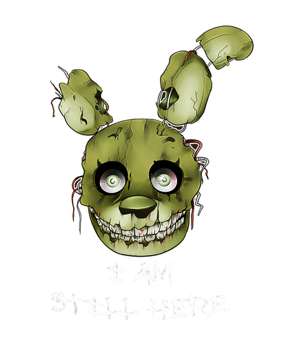 FNAFSKUN 87277 ds pf.png