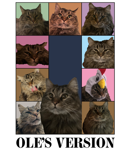 3100134268.png