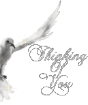 oie overlay (1).gif