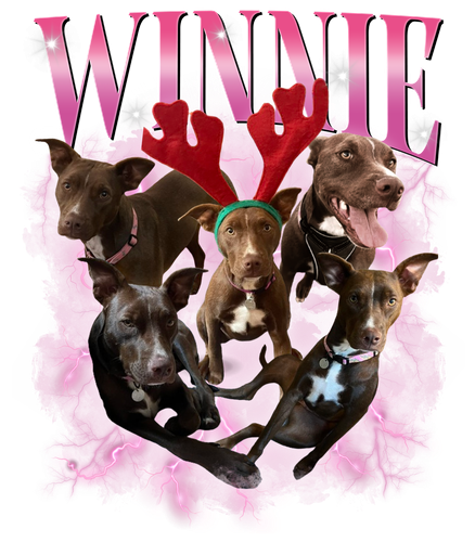 Winnie.png