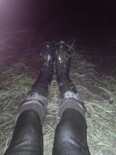 IMG 20231116 183132 0.jpg