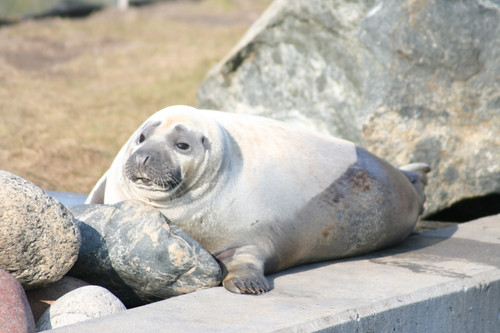 IMG 3996.jpg