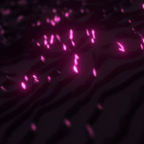 1125(2).gif