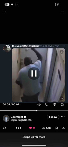 677BBE9C 0001 4BC4 BEDB 35CD300D7CEA.jpg