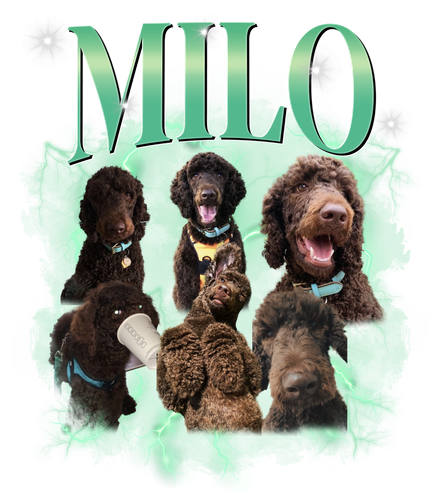 Milo.png