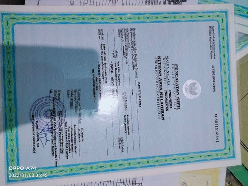 scaled IMG 20231125 WA0026.jpg