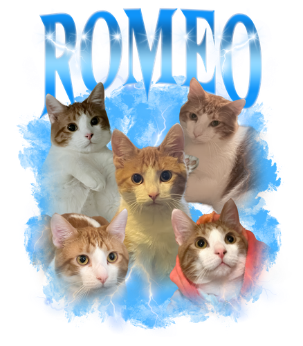 romeo.png