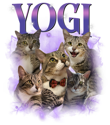 yogi.png