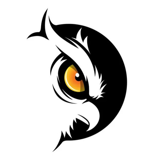 night owl design vector 27940091.jpg