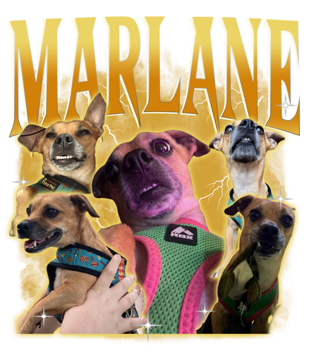 MARLANE.png