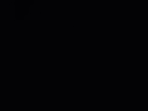 17006940414942077031371736597511.jpg