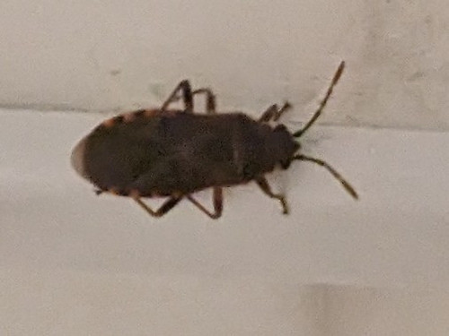 PXL 20231121 190652631~2.jpg