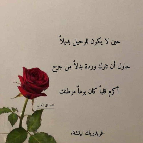 FB IMG 1698588333290.jpg