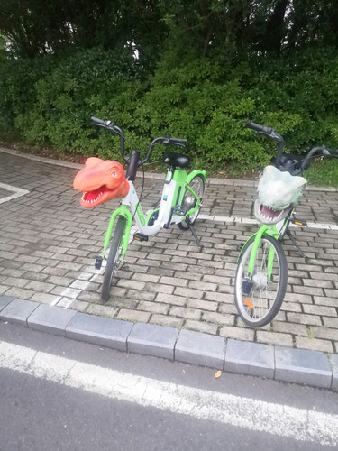 IMG 20240606 150751.jpg