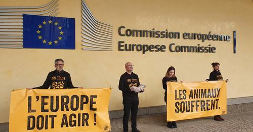 17414327025827465119?url=https%3A%2F%2Fmrmondialisation.org%2Fwp content%2Fuploads%2F2024%2F05%2F202.jpg