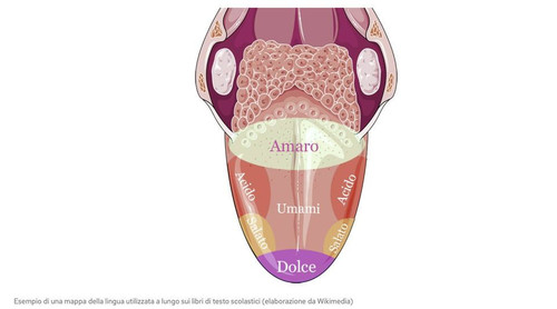 447253141 870020478269402 1854770142678646966 n.jpg?stp=cp6 dst jpg s960x960& nc cat=103&ccb=1 7& nc.jpg