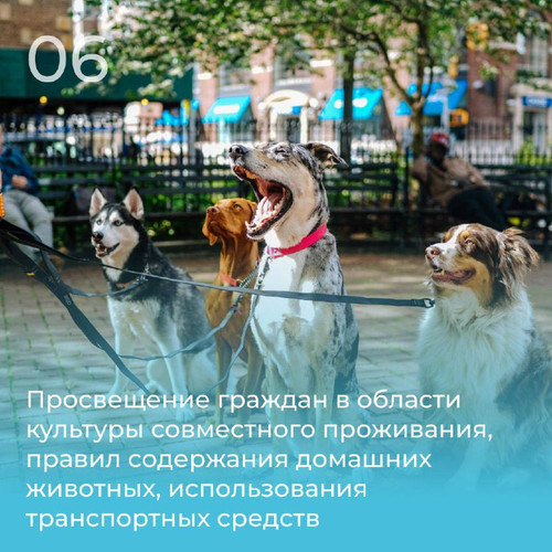 bKmOokwdeGDBnDqjopPi05oZIvrIY0JFYLptPPrceE5uGgwNZmrgJf9Yp40FoAolTDNbztd2sclJ7d u7qj1ZjYxGYd yYJonG8Q.jpg