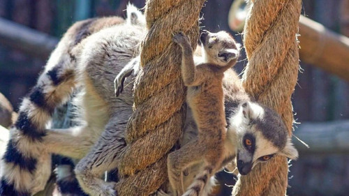 MqgFRGQVxI6pK sT3r wGwXmBiVOPbvMwp pd9LQ5ahlkriOc5FlvTB kpNJQoat3sUiLL2 SxJuyqbBB74PZMdu18hXRsA3i0ze.jpg