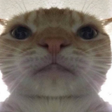 chrome YDyMP0c4hN.png