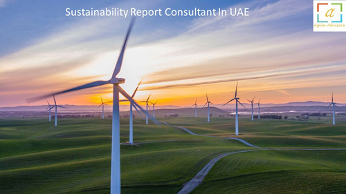 Sustainability Report Consultant In UAE.jpg