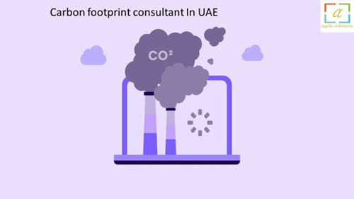 Carbon footprint consultant In UAE.jpg