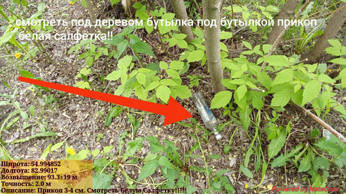 IMG 20240605 181714.jpg