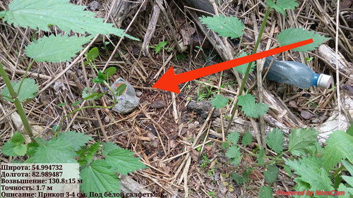 IMG 20240605 181222.jpg