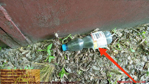 IMG 20240605 181617.jpg