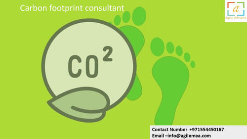 Carbon footprint consultant.jpg