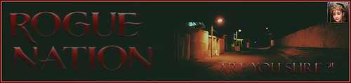 Alley Banner.jpg