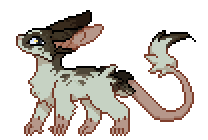 bouncy mouse!.gif