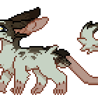 bouncy mouse!