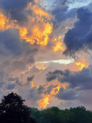 447963710 10221338682851262 125987843383358956 n.jpg