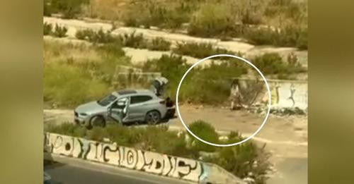 7980760721744373347?url=https%3A%2F%2Falbum.mediaset.es%2Feimg%2F2024%2F06%2F04%2Fasesinan al herman.jpg