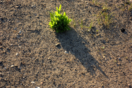 IMG 1585.jpg