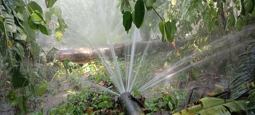 WhatsApp Image 2024 06 09 at 11.01.49.jpg