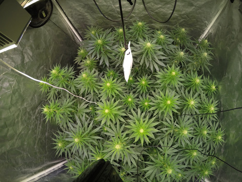 GOPR3276 1593758216201