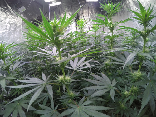 GOPR3268 1593758216201