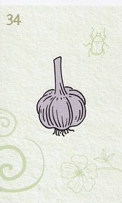 ALBERT Albertova zahrádka samolepka 34.jpg