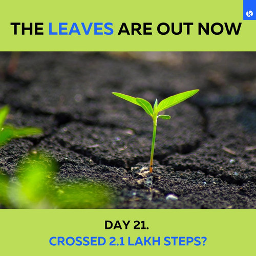 1f2d9f2c 9ce9 4b3d 9dee 1db0f17bafb0.jpg