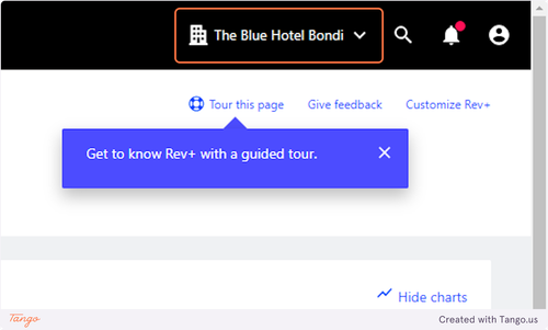 expedia report 04.png